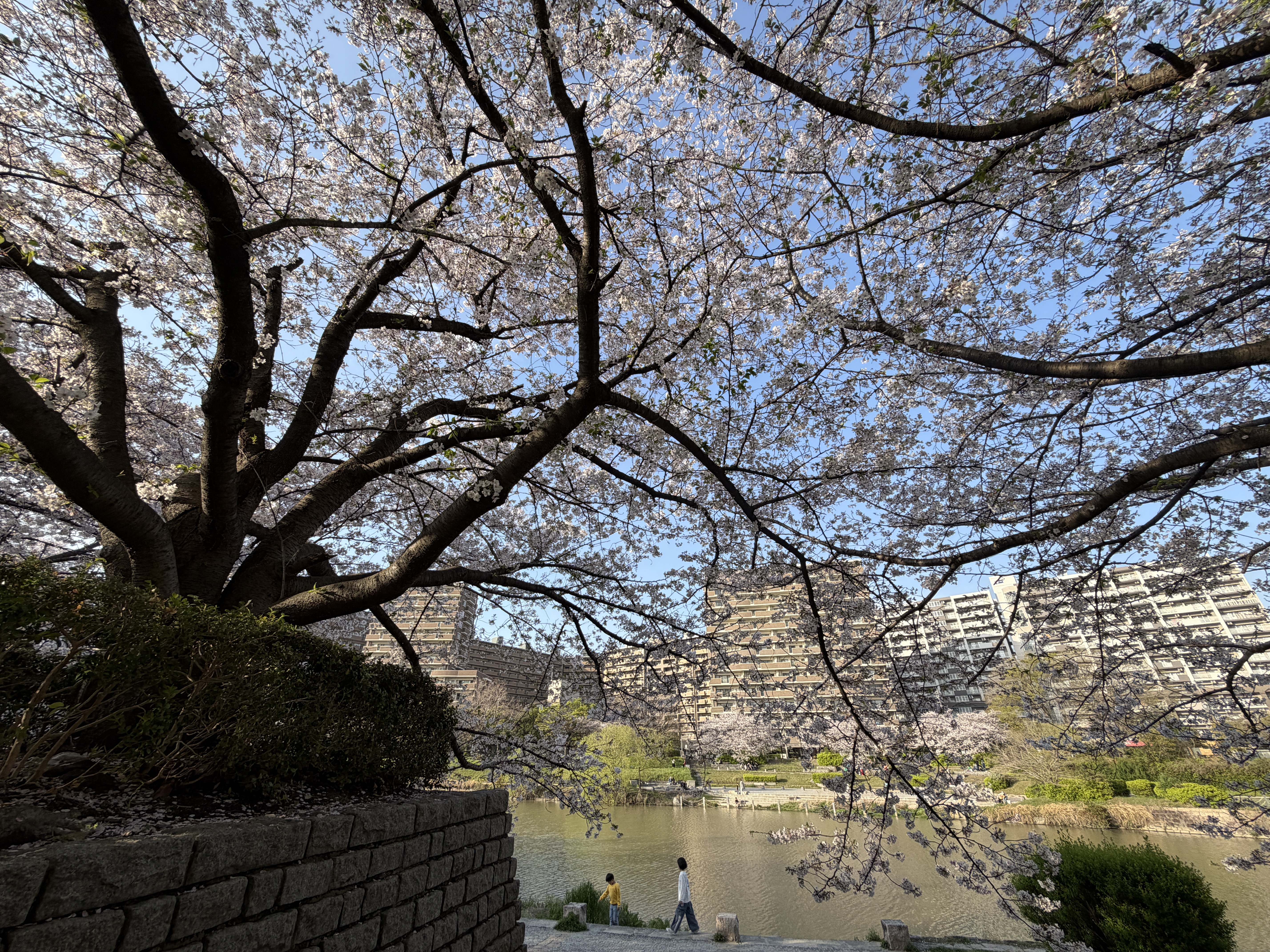 20260405_01